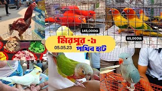 ঈদের পর হাটে প্রচুর স্পেশাল পাখি এসেছে | সান,Rosella , Lory,ককাটেল,বিড়াল , টার্কিশ মুরগি টিয়া,