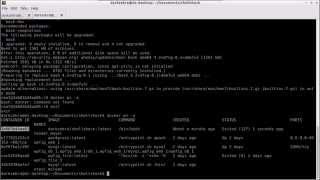 Docker - Testing for the Bash Shellshock vulnerability and fixing it