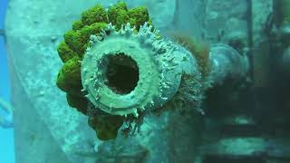 Cayman Brac Dive: Tibbet's Wreck", or Russion Frigate 356