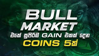 Bull Market එකේ සුපිරිම Gain එකක් දෙන Coins 5ක්