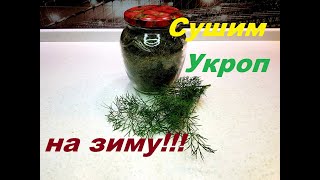 Заготовка укропа на зиму