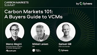 Carbon Markets 101: A buyer's guide to Voluntary Carbon Markets (VCMs)