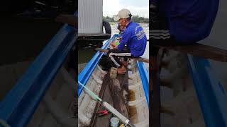 Câu cá basa bằng mồi này rất dễ kiếm ăn#shorts #fishing #fish