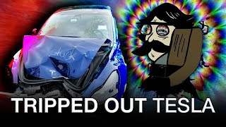 Mushroom Madness: How a 400HP Tesla Model 3 Survived a Psychedelic Disaster