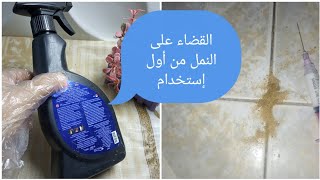 النمل وكيفية التخلص منه نهائيا