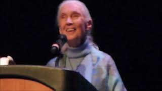 DR JANE GOODALL Using Your Brain and the Resilience of Nature WILDLIFE Africa CHIMPANZEES