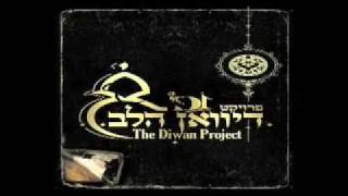 The Diwan Project - Promo_2008