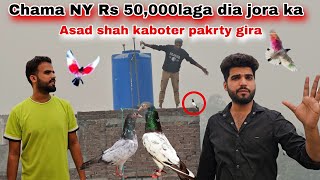 Ustad chama NY Rs 50,000 laga dia jora ka 😲 Asad shah kaboter pakarty huwy tanki se nichy Gira