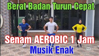 Senam Aerobik 1 Jam Musik Enak Gerakan 8x8