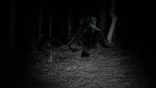 5 Unknown Creatures Caught On Tape! All New