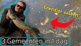 SNOEKEN IN 3 GEMEENTEN IN 1 DAG! | Vang een snoek in iedere gemeente van Noord-Holland Challenge