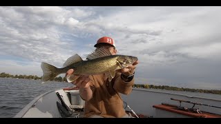 Catching Big Detroit Lakes Walleyes!