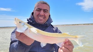 "LAGUNA CHASICO" INFORME DE CÓMO ESTA LA PESCA EN ESTE MOMENTO, TODO LOS DATOS!! OCTUBRE-2022-