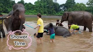 Thailand Kanchanaburi | Elephant World | 23.10.2021