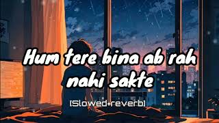 Hum tere bin ab rah nahi sakte lo-fi song feel this song 🎧😌💯 full review alone bhai k ringtone