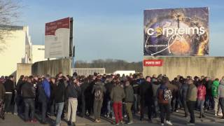 Carp Reims show 2017