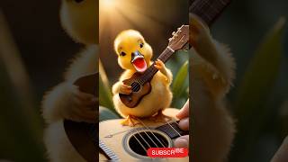 CUTE DUCK MUSICIAN VIDEOS? Watch This Now!