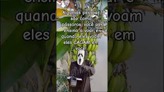 Amostradinho 🤣🤣🤣 #funnyshorts #viral #humor #viralcomedy #meme #viral