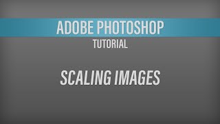 Adobe Photoshop – Scaling an Image