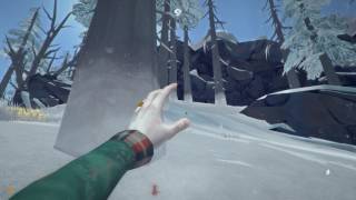 The Long Dark aka The Big Jerk Simulator