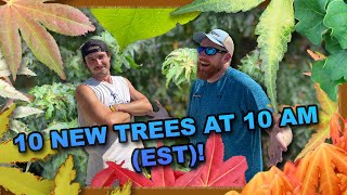 Totally Tubular Trees on the 10@10 w/ Tim and Dylan (EST)!