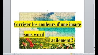 comment Corriger les couleurs d'une image Sous Word ? ● ♡