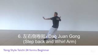 Yang Style Taichi 24 Forms Beginner Tutorial