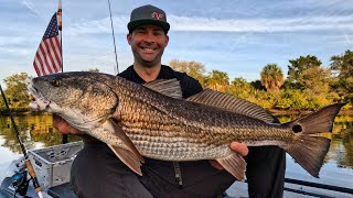 Fishing a Chokepoint lead to a big bite! #florida #kayak #redfish #inshorefishing #tampabay