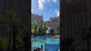 Atlantis Bahamas Royal Baths Pool #shorts #atlantisbahamas #paradiseisland #nassau #bahamas#paradise