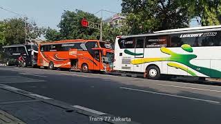 BUS LUAR KOTA PADATI PASAR BARU @trans77jakarta70