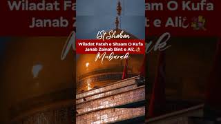 1 Shaban status | Wiladat bibi zainab status | #shaban #shorts #bibizainab