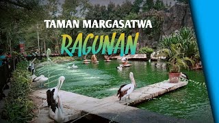 Taman margasatwa ragunan jakarta selatan