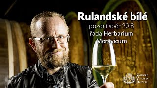 Víno před kamerou - Rulandské bílé 2018 PS, řada Herbarium Moravicum