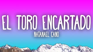 Natanael Cano - El Toro Encartado | 1hour Lyrics
Натанаэль Кано - Запутанный бык | Текст на 1 час