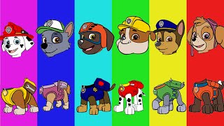 COCOMELON PAW PATROL | MATCH THE HEAD | VIDEO FOR KIDS