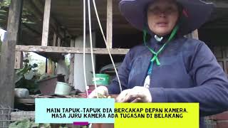 Ara Garden / Jarang bercakap tapi ada sisik tapuk/