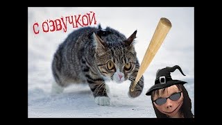 Лучшие кубы и приколы 2020! Подборка