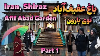 Afif Abad garden in Shiraz on a rainy day, Iran(2024): زیبایی باغ عفیف آباد شیراز توی روزای بارونی