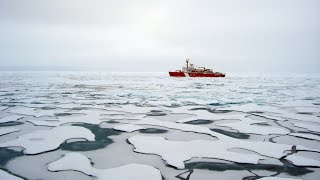 The Strategic Nexus Between Climate Change, Energy and Geopolitics | LSE IDEAS Hybrid Event