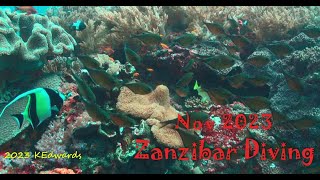 202311 Zanzibar Diving