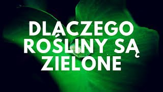 Dlaczego rośliny są zielone? | #45 Podcast Akademii Białego Fartucha