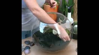 make terrarium with me 3 #shorts #terrarium #plants