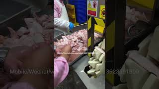 whole chicken wing cutting machine/chicken wing cutter