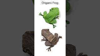 Origami Frog #shorts