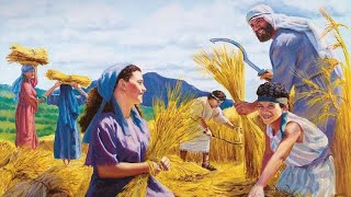 Shavuot y el Libro de Rut: Un Modelo de Conversión