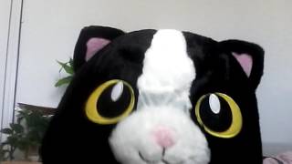 My cat mask