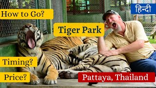 How to Visit Tiger Park in Pattaya Thailand. Timing, Entry Fee, Tickets, Details. Pics with Tiger.