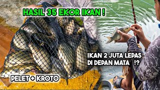 BAWA 35 EKOR IKAN! 2 JUTA Hilang di Depan Mata!? Harian / Taburan Ikan Mas modal Pelet dan Kroto