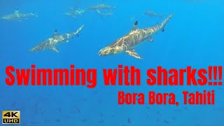 Bora Bora adventures