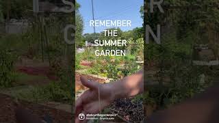 Remember the Summer Garden